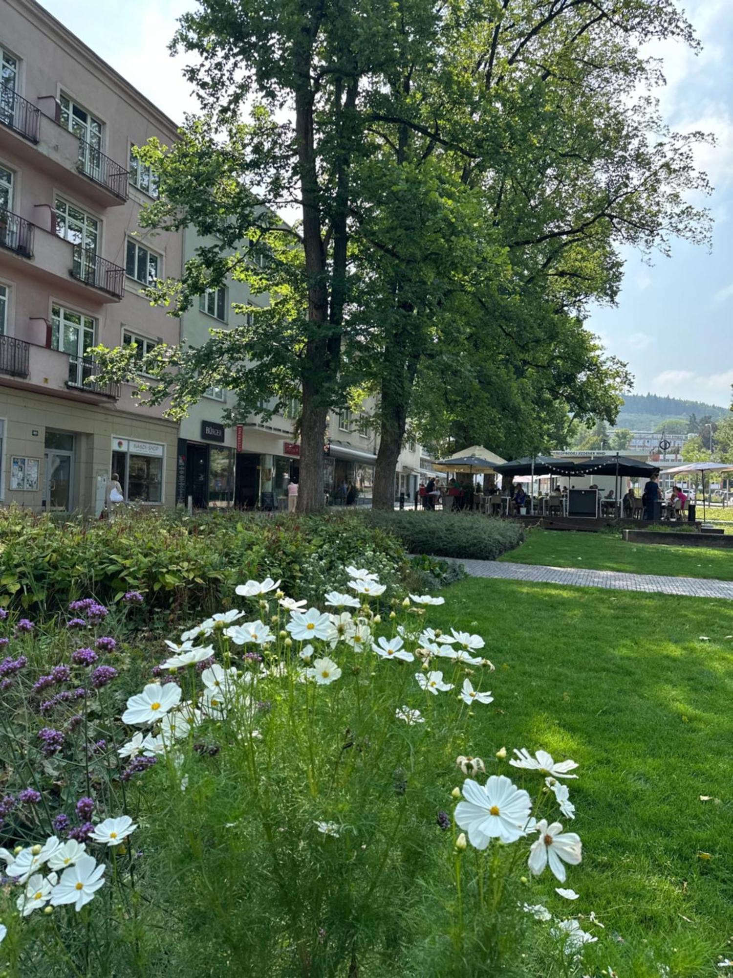 Rezidence Sadova Zlin Apartment Luaran gambar